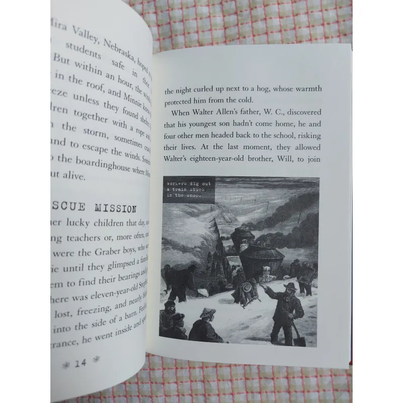 I SURVIVED: TRUE STORIES – FIVE EPIC DISASTERS - Lauren Tarshis 975136