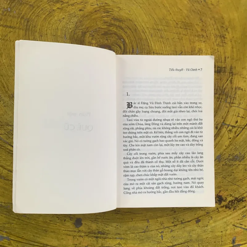 ĐẤT LẠNH - VŨ OANH 1002922