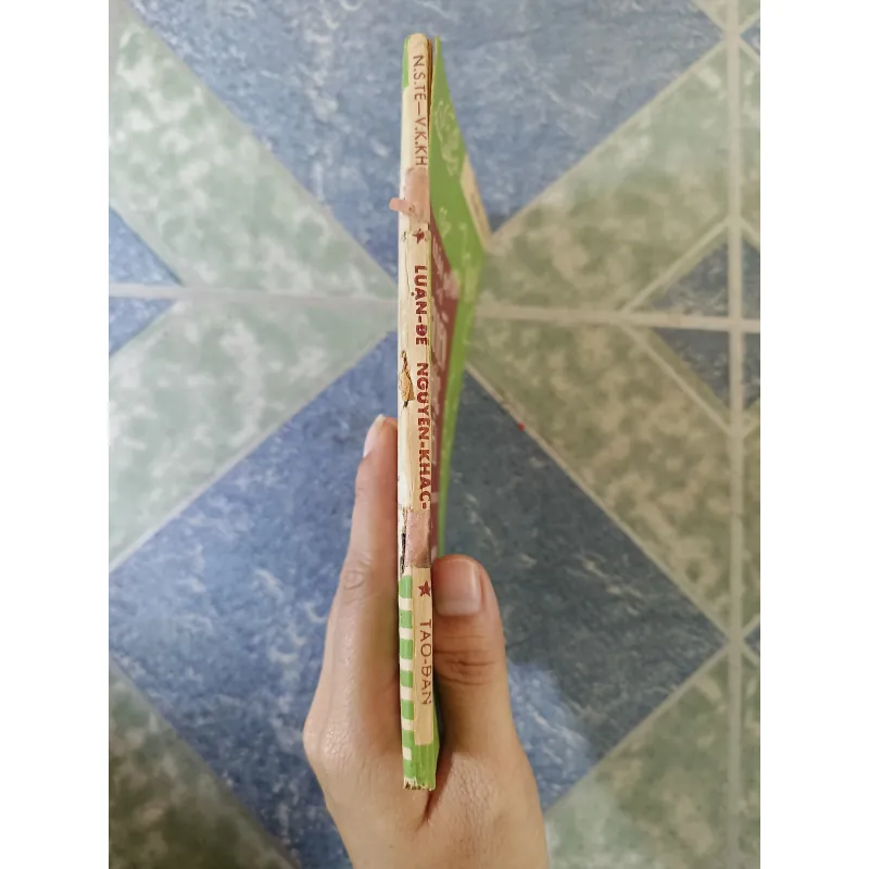 Luận đề về Nguyễn Khắc Hiếu - Nguyễn Sỹ Tế & Vũ Khắc Khoan 708650