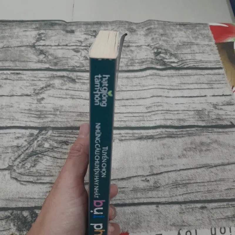 Hạt giống Tâm hồn- Tuyển chọn những câu chuyện hay nhất về Bụi Phấn. Nhiều tác giả 700540