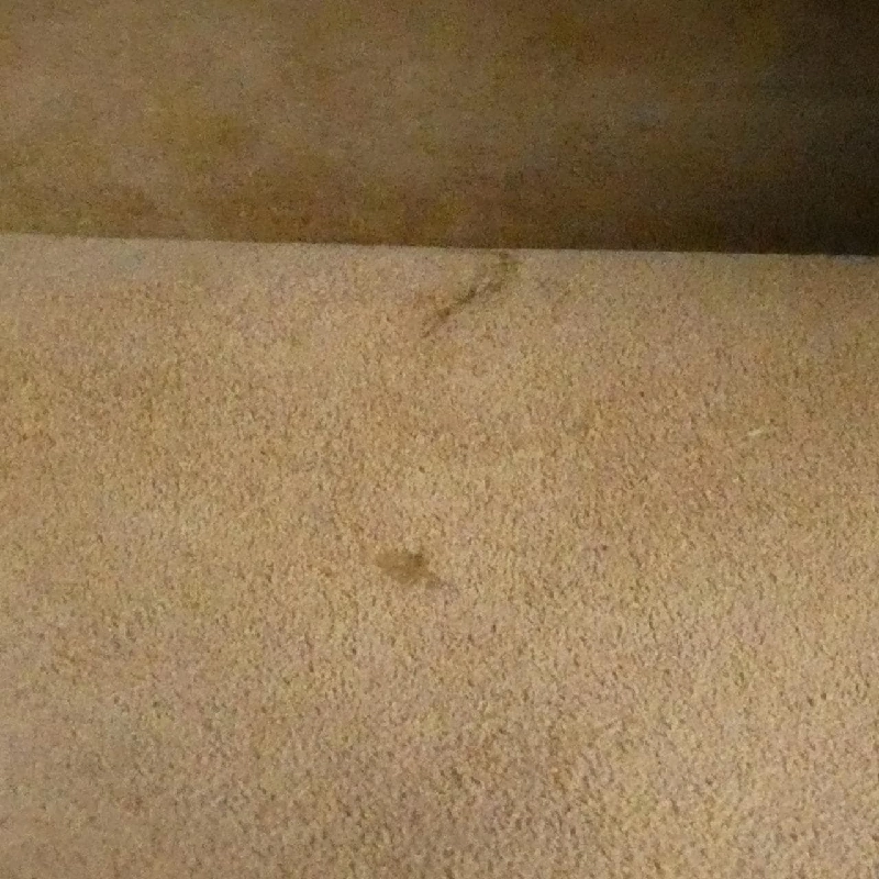 Loewe Gate Top Handle Mini 321 12 Z99 Bag - Hàng hiệu Authentic 805174