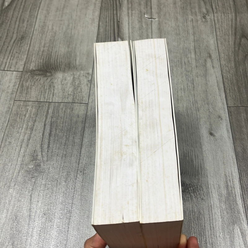 Nguyễn trần bạt- đối thoại với tương lai bộ 2 tập. 3a4 542824