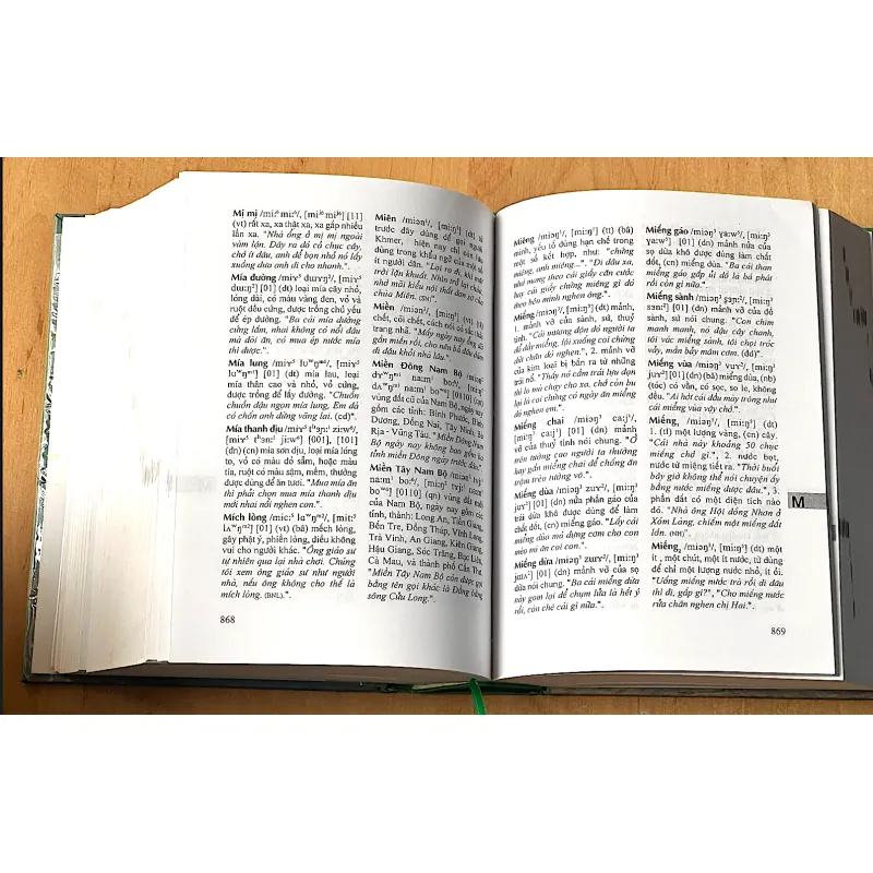 TỪ ĐIỂN TỪ NGỮ NAM BỘ 1000299