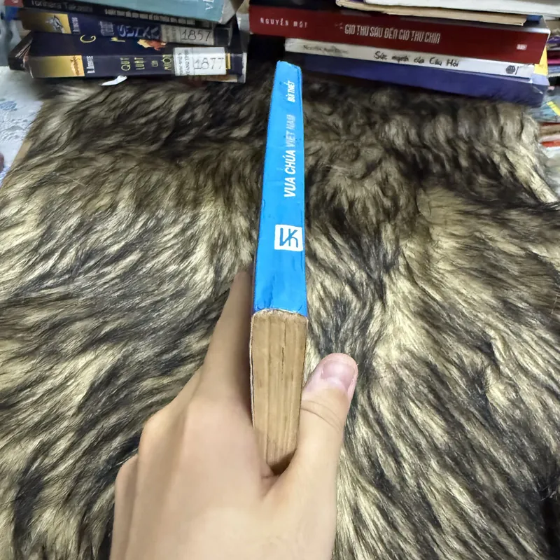 Vua chúa Việt Nam  599871