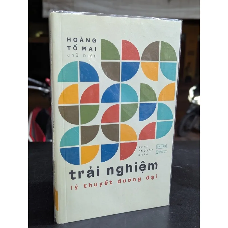 Trải nghiệm lý thuyết đương đại - Hoàng Tố Mai 675554