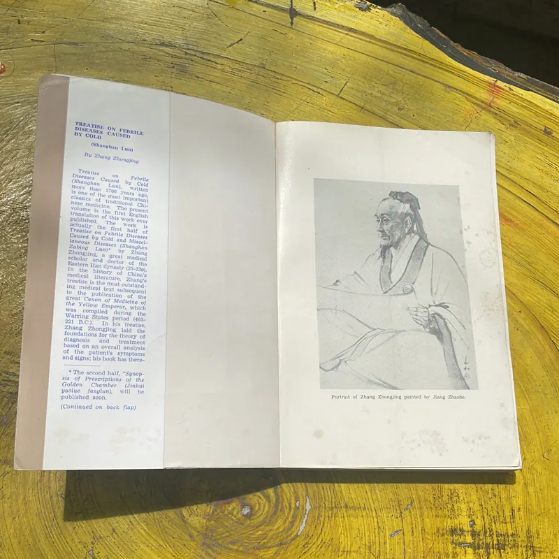 TREATISE ON FEBRILE DISEASES CAUSED BY COLD- ZHANG ZHONGJING 602389