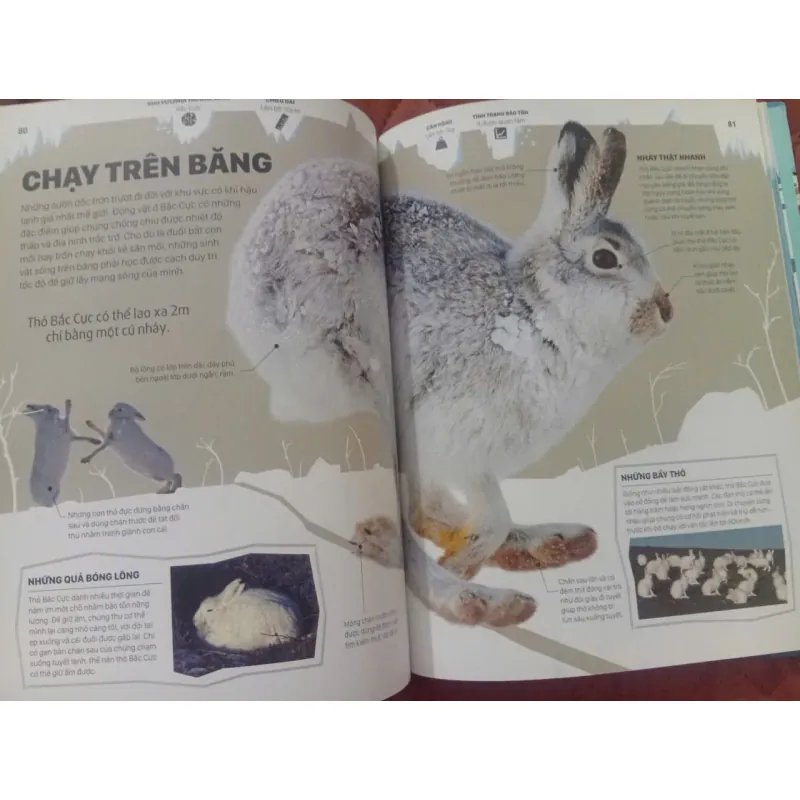 Băng - Những Câu Chuyện Ly Kỳ Từ Một Thế Giới Đang Dần Biến Mất 1009870