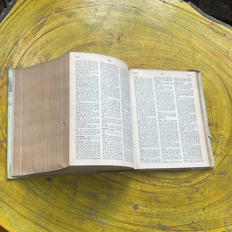 ĐẠI TỪ ĐIỂN ANH - VIỆT ENGLISH- VIETNAMESE DICTIONARY  702741