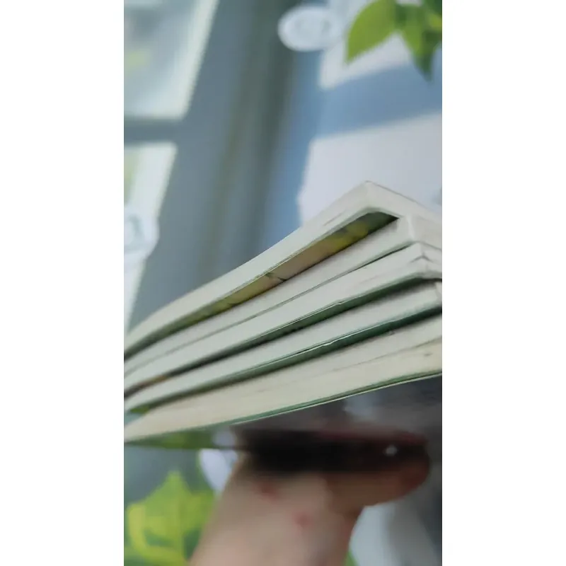 Combo Nhật Ký Trưởng Thành Của Đứa Trẻ Ngoan (5 Cuốn - Tặng 1 Cuốn) 727341