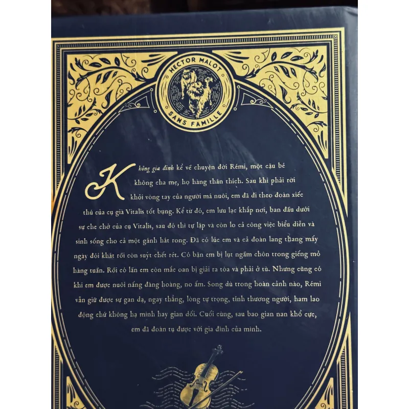 Combo không gia đình + đỉnh gió hú (bìa cứng) 998283