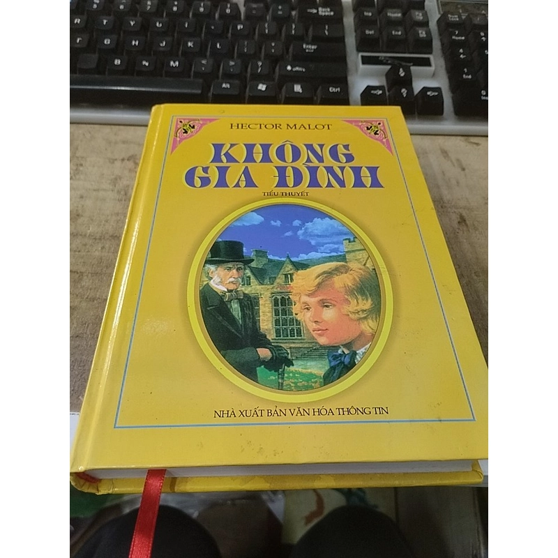 Không gia đình - bìa cứng 353639