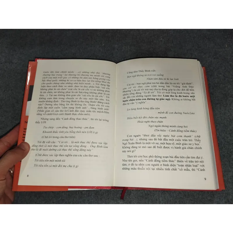 CÁNH ĐỒNG THAO THỨC - NGÔ XUÂN BÍNH 729325