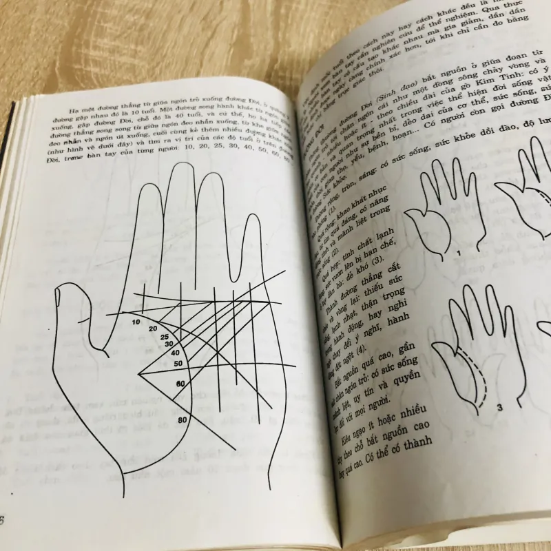 TIẾNG NÓI CỦA BÀN TAY – SÁCH NGHIÊN CỨU 925817