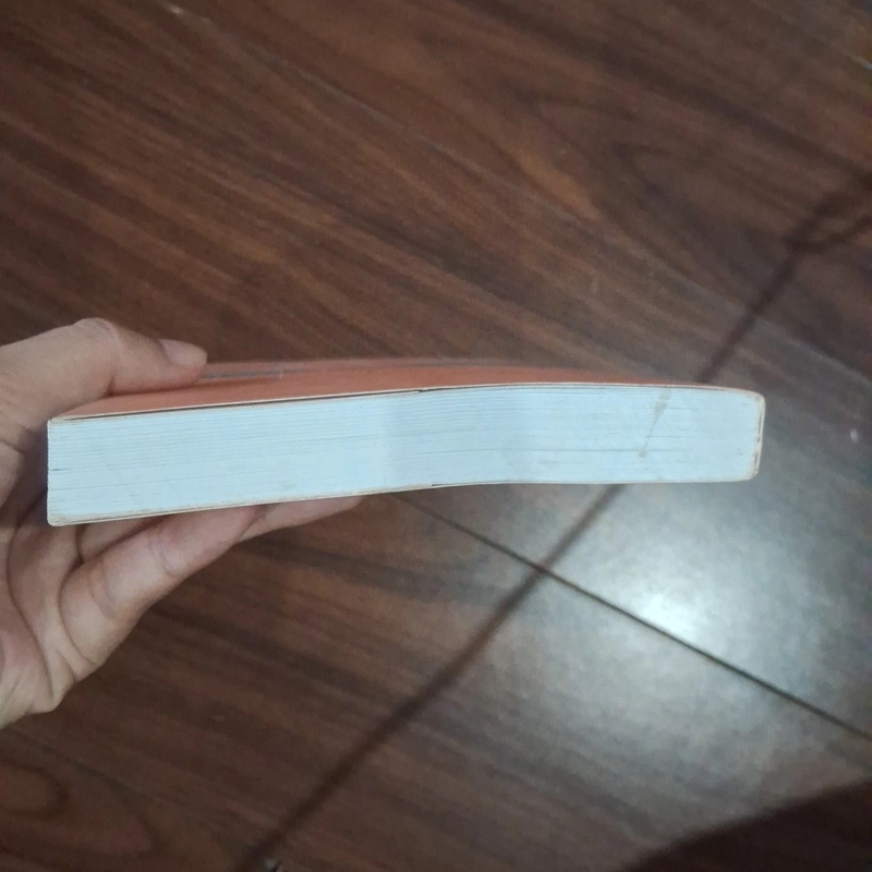 Gọi sóng phù sa 510153