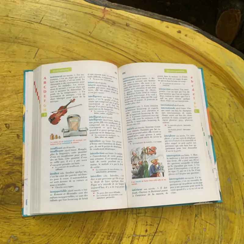 DICTIONNAIRE LE ROBERT  BENJAMIN CP-CE 6.8 ans & JUNIOR 8/11 ans  CE-CM ILLUSSTRE 747358