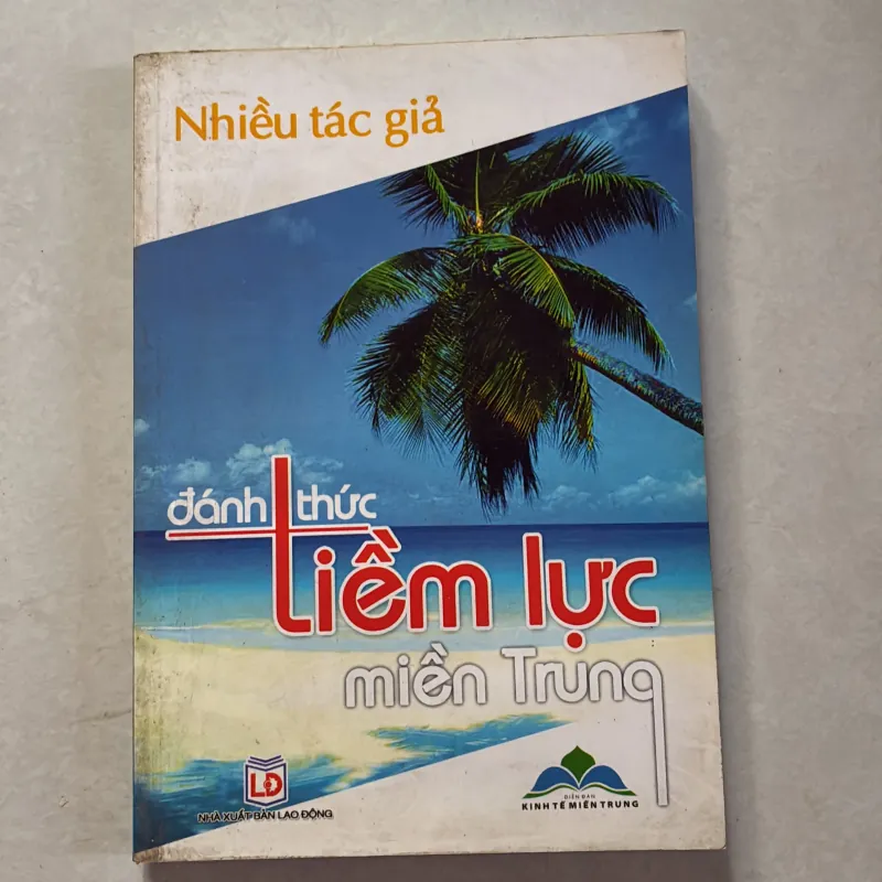 Đánh thức tiềm lực miền Trung 800952