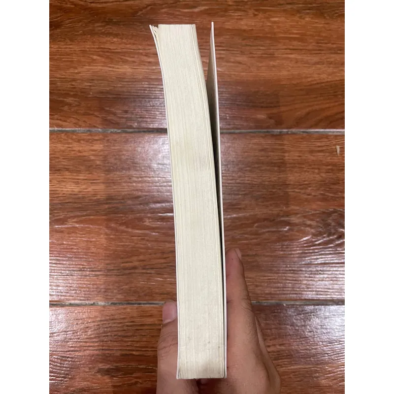 Phan Thanh Giản nhà ái quốc, người mở đường cho nước Việt Nam hiện đại (k4) 599693