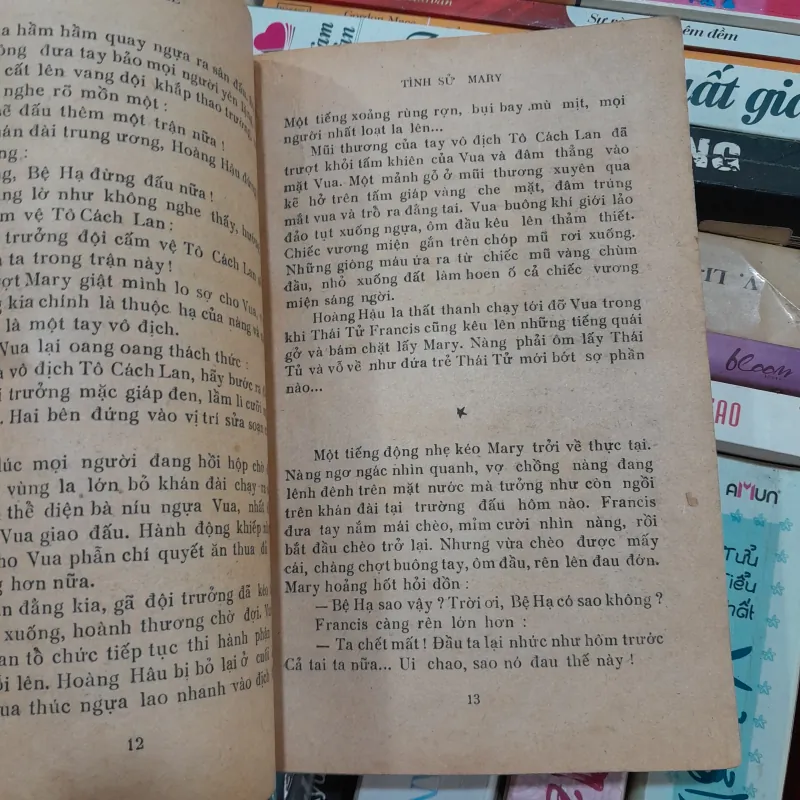 TÌNH SỬ MARY - VŨ HÙNG 760942