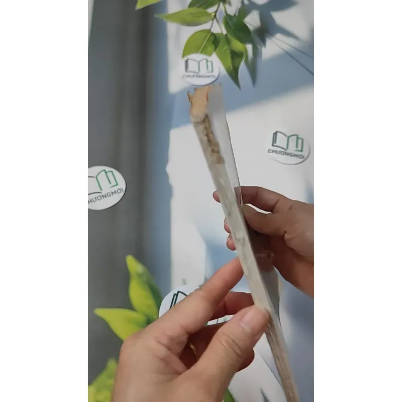 [XƯA] Bưởi - Sách Phật Giáo (1986) - Thích Nhất Hạnh       775988