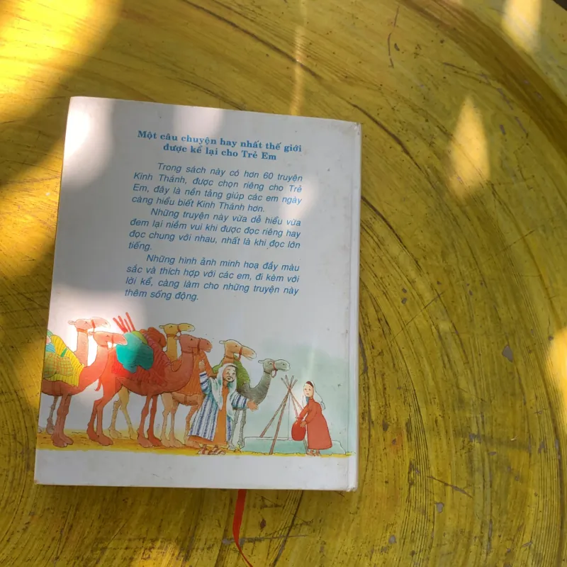 COMBO KỂ CHUYỆN KINH THÁNH CHO TRẺ EM ( từ 6 đến 9 tuổi) & SỰ LỰA CHỌN ĐÚNG ĐẮN  785099