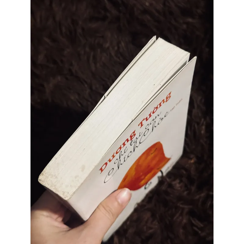 Chỉ tại con chim chích choè 933806