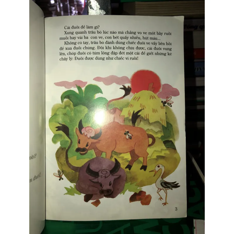 Cái đuôi không chỉ đuổi ruồi 784564