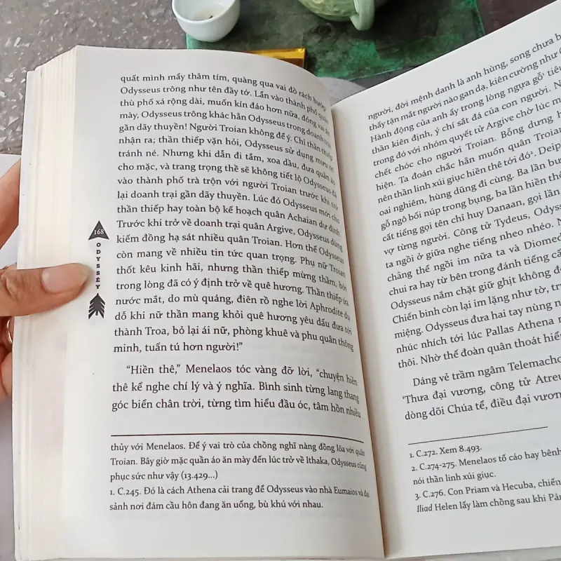 Odyssêy - Homer  936434