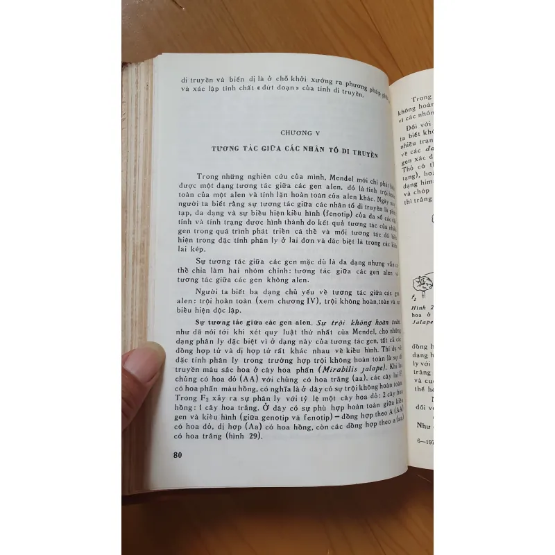 DI TRUYỀN HỌC VÀ CHỌN GIỐNG  785780