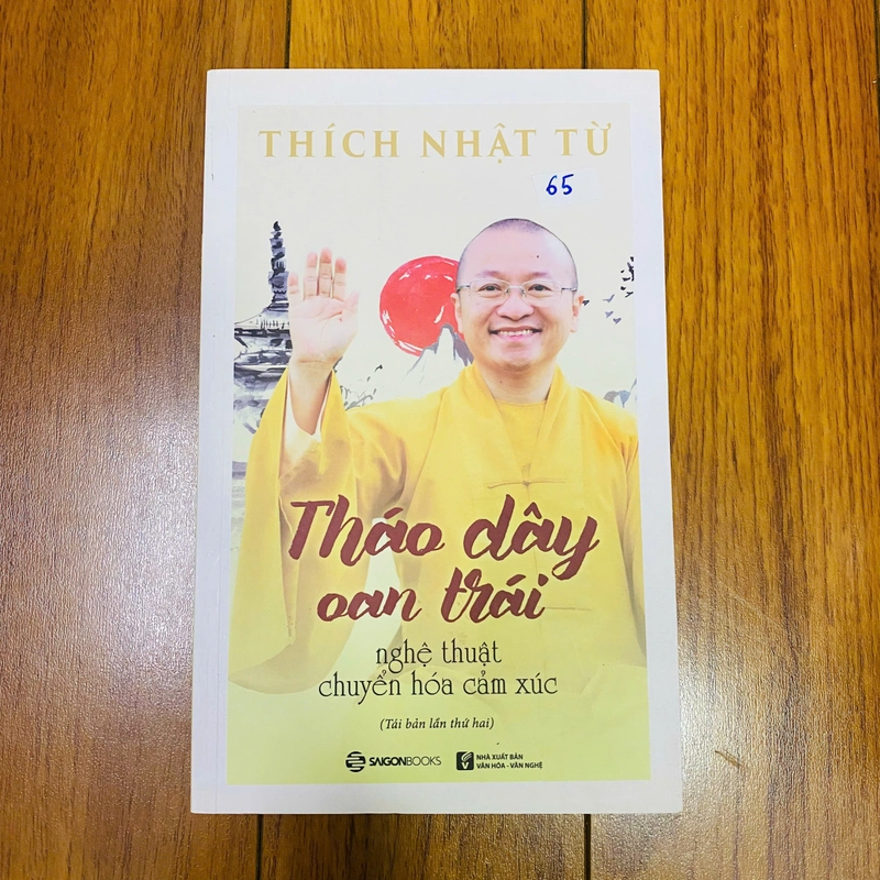 THÁO DÂY OAN TRÁI -Thích Nhật Từ #TAKE 382943