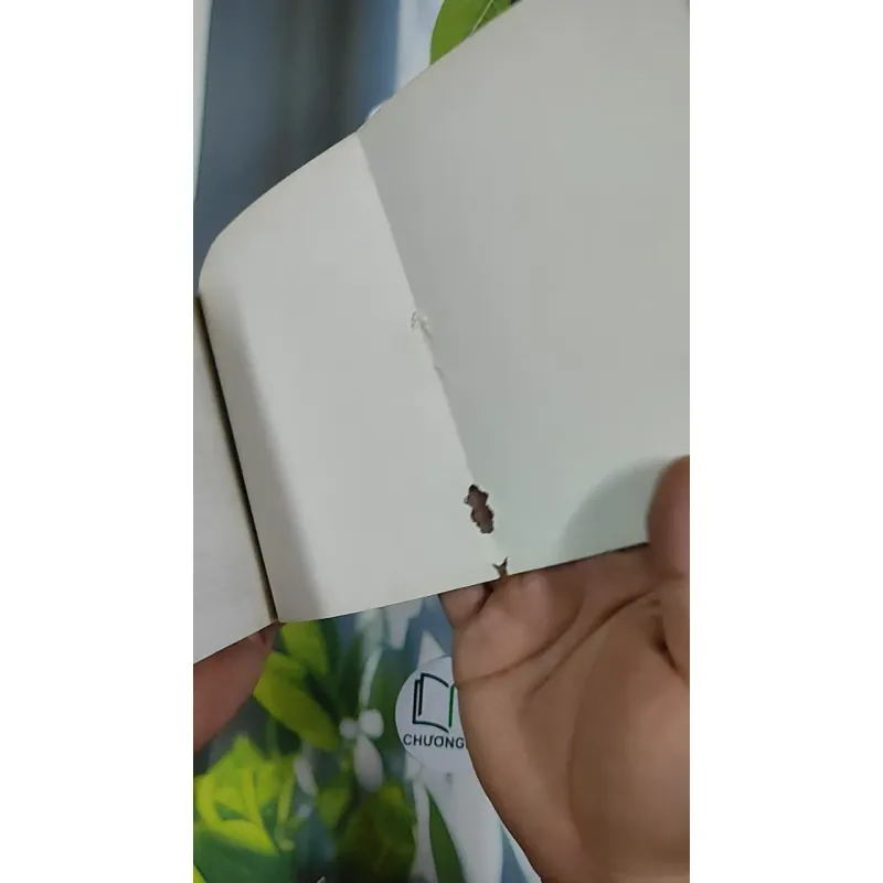 Con nhà nghèo - Hồ Biểu Chánh 798496