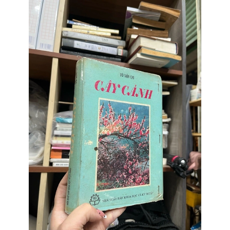 Cây cảnh - Võ Văn Chi 475364