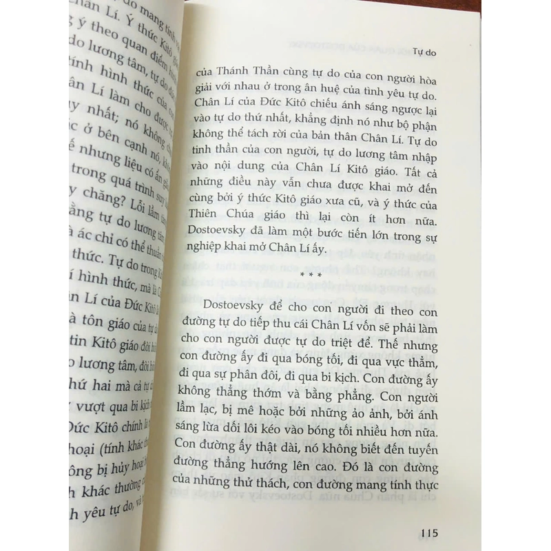 Thế giới quan của Dostoevsky - N. Berdyaev 541985