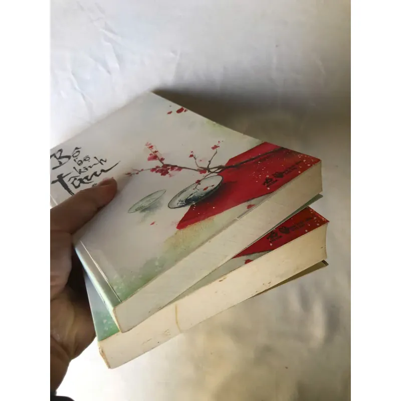 Trọn bộ 2 tập Bộ Bộ Kinh Tâm - Đồng Hoa 926835