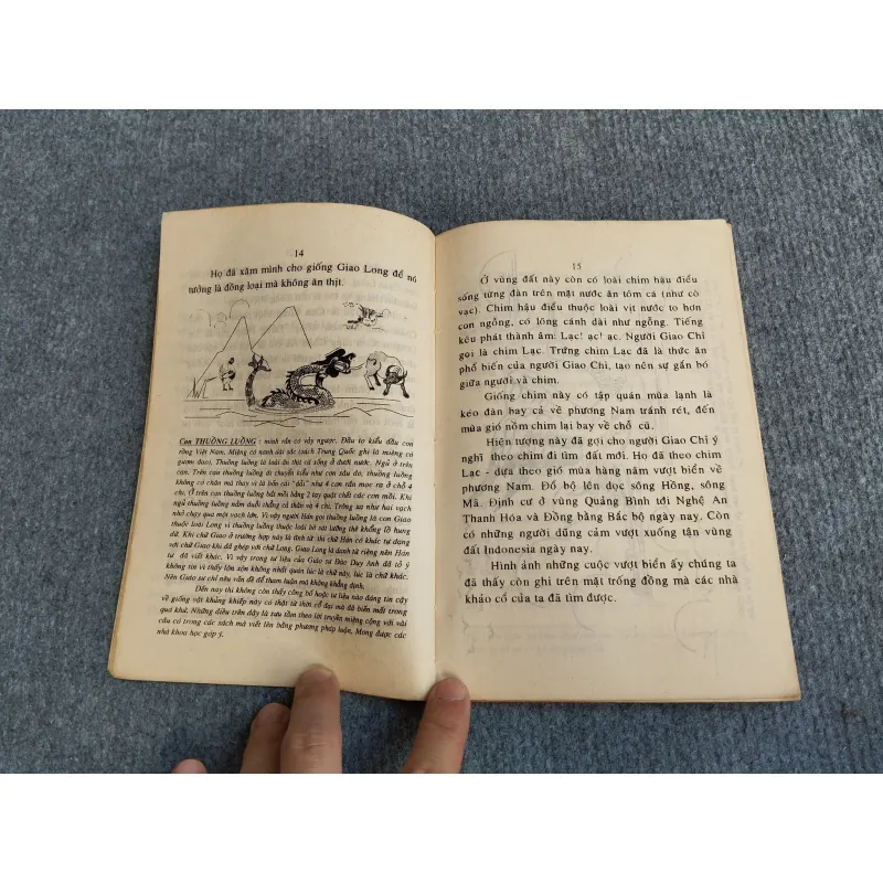 CON RỒNG VIỆT NAM VỚI NGƯỜI GIAO CHỈ 694809