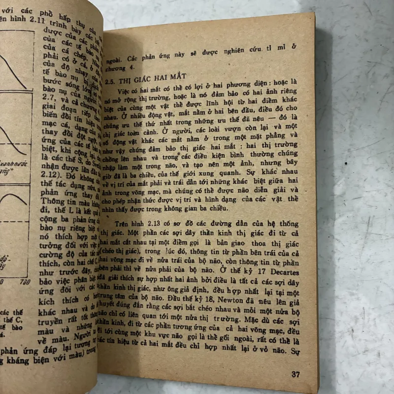 Sự thụ cảm ánh sáng và màu sắc 1025171