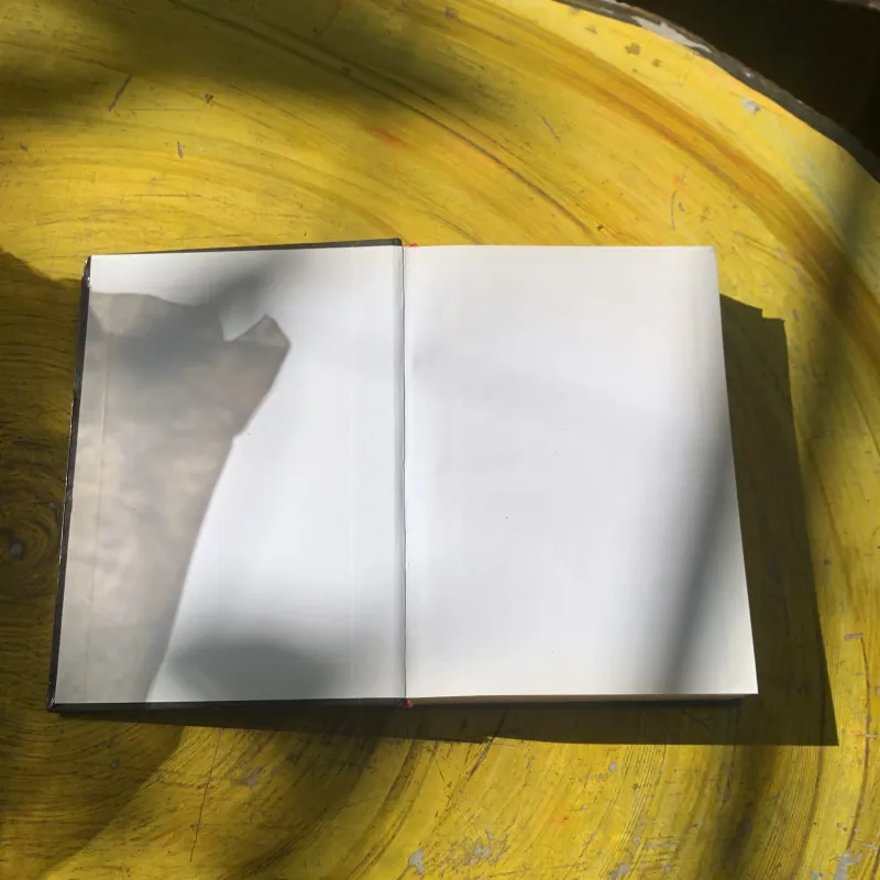 BÔNG HỒNG VÀNG & BÌNH MINH MƯA - K. PAUTOPXKI 783387