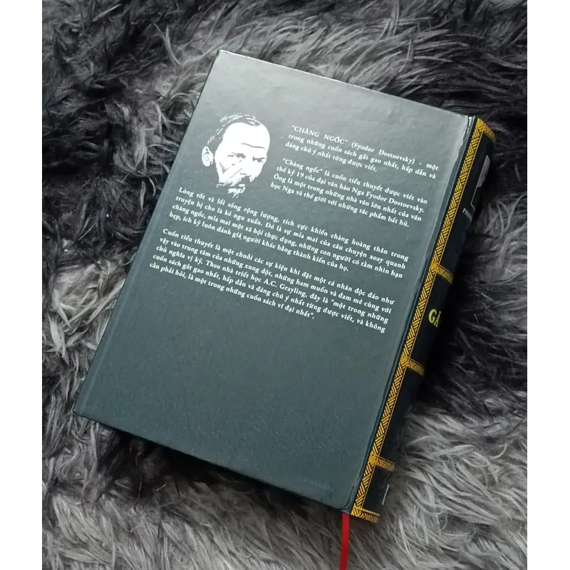 Tuyển tập tác phẩm Dostoevsky 602797