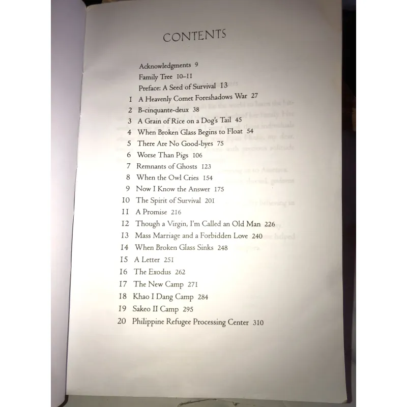 When broken glass floats: growing up under the Khmer rouge- Chanrithy Him 1002946