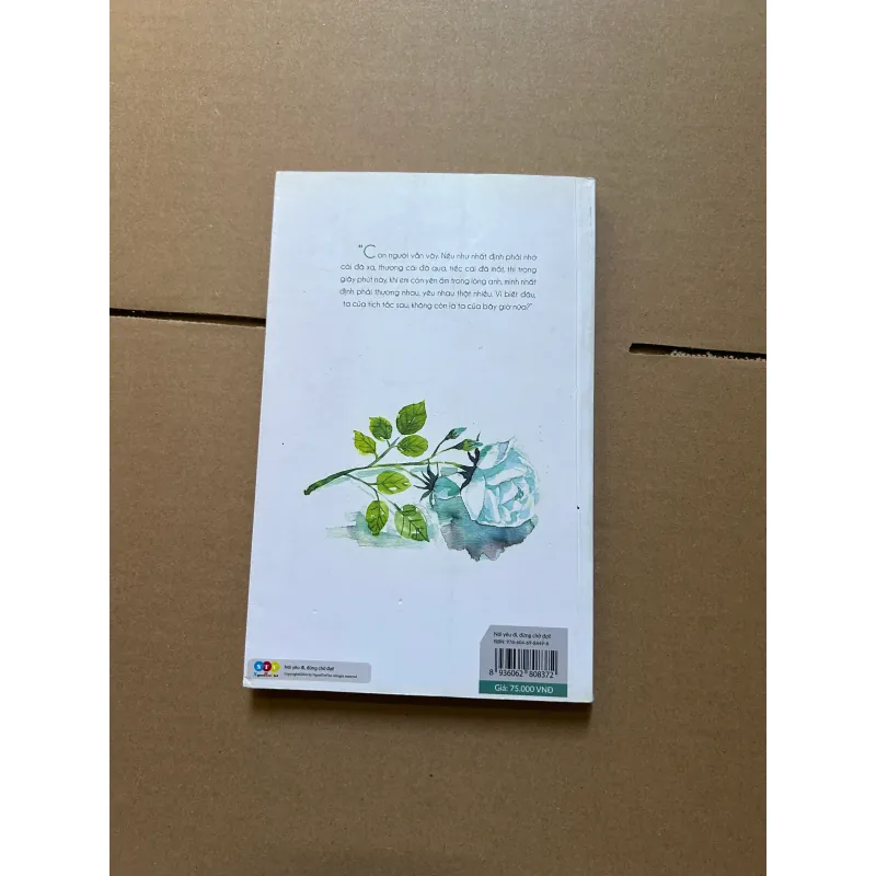 Nói yêu đi, đừng chờ đợi 929744