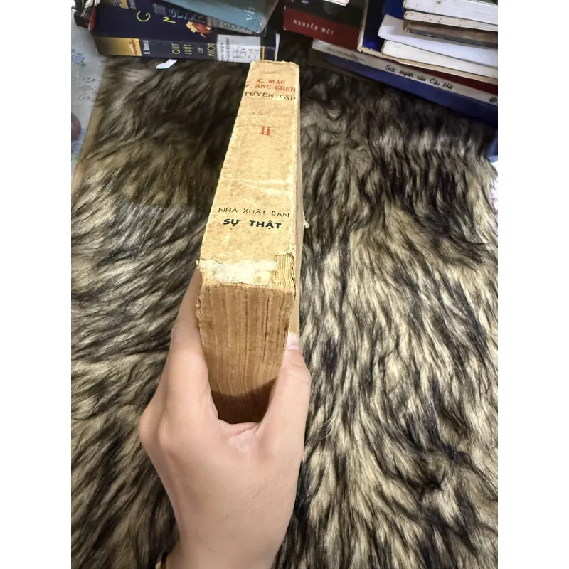 C. MÁC F. ĂNG-GHEN 599661