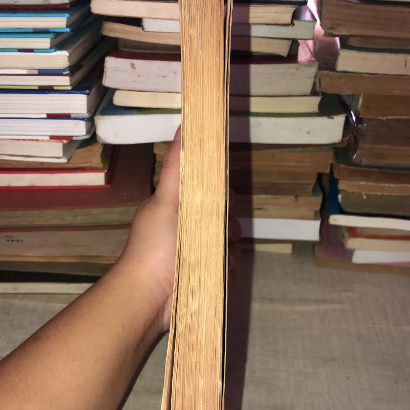 Người nội trợ hoàn toàn 995098