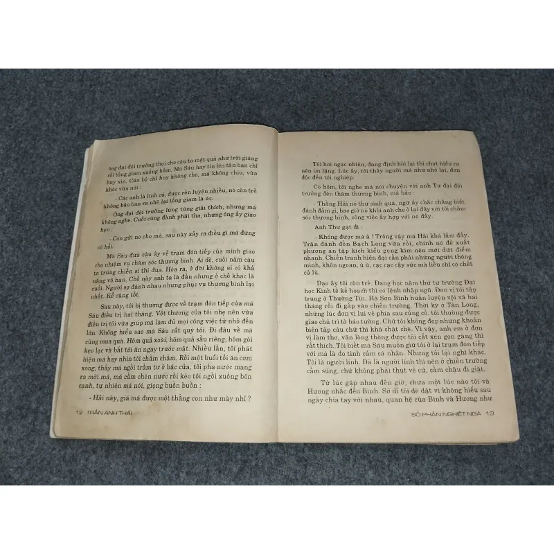 SỐ PHẬN NGHIỆT NGÃ - TRẦN ANH THÁI 588805
