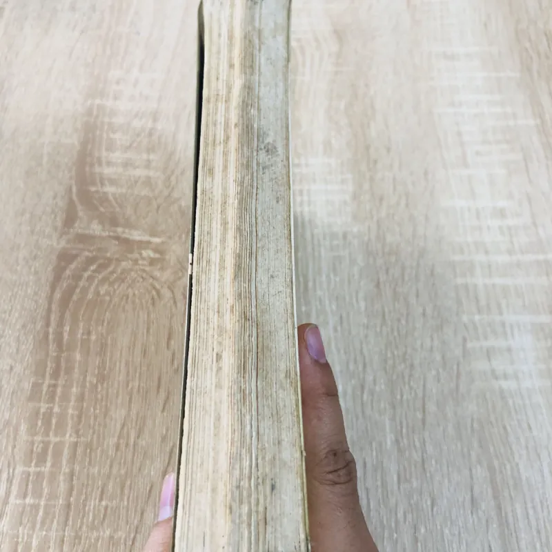 LƯỢC GIẢI KINH DUY MA 957032