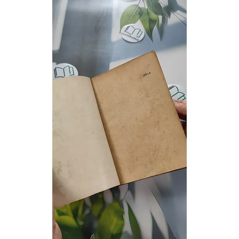 [XƯA] Đô La (1991) - Nguyễn Hữu Vang 776052