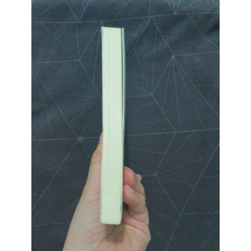 "Cuộc đời là một cuốn tiểu thuyết" (new) - Guillaume Musso 538995