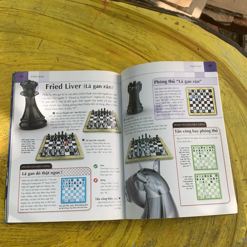  COMBO CỜ VUA: những bài học đầu tiên, ván cờ hoàn hảo, hãy chơi để chiến thắng 790821