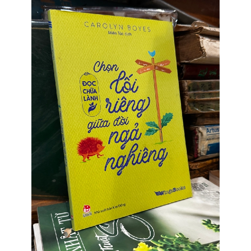 Chọn lối riêng giữa đời ngả nghiêng - Carolyn Boyes 474903