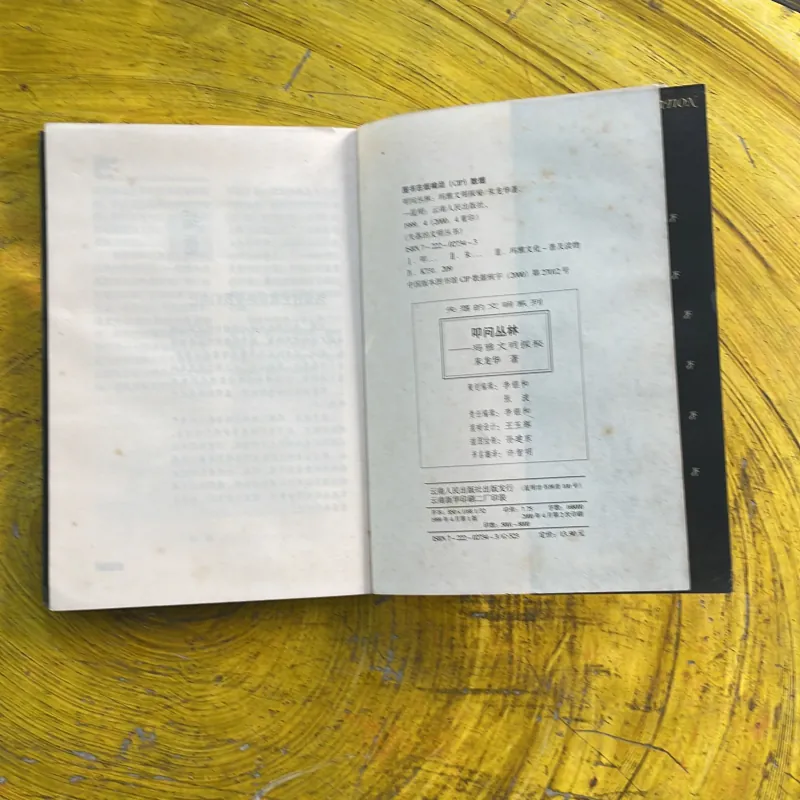 THE LOST CIVILIZATION - KHÁM PHÁ VĂN MINH MAYA- bản tiếng Trung 994246