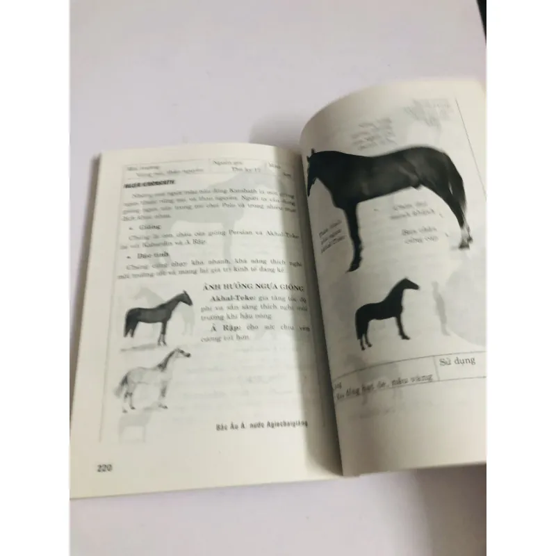 NGHỆ THUẬT CHĂM SÓC NGỰA  760018