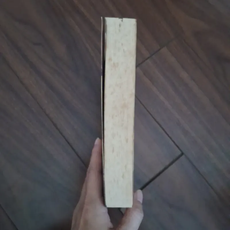 Không kịp nói yêu em - phỉ ngã tư tồn 706321